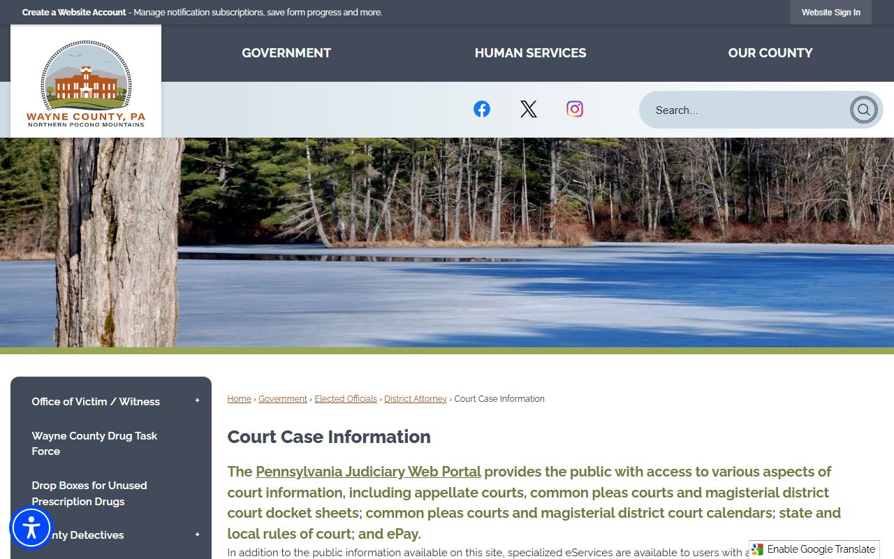 Wayne County court case information page for recent bookings lookup